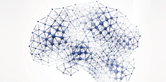 Bienvenue ! cerveau en réseau épars
